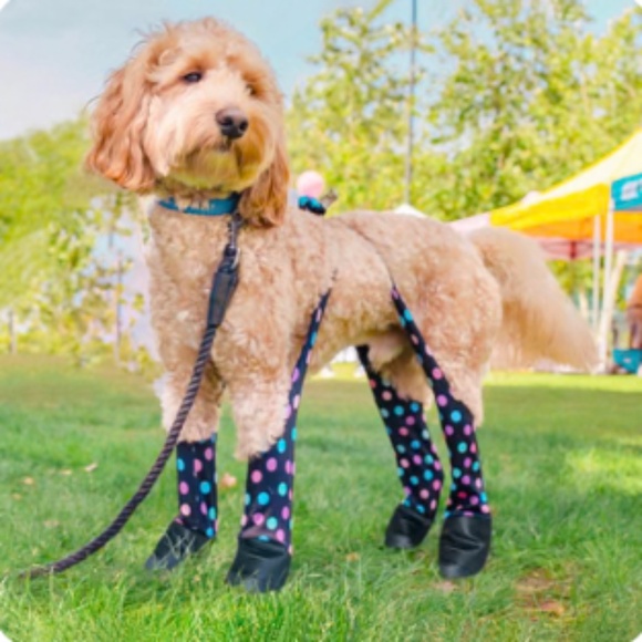 Walkee Paws - Suspender Boot Leggings (Deluxe, Easy-On) - Picture 1 of 9